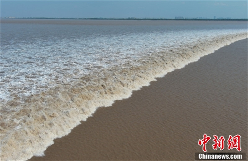 Zhejiang : le mascaret spectaculaire du fleuve Qiantang à Jiaxing