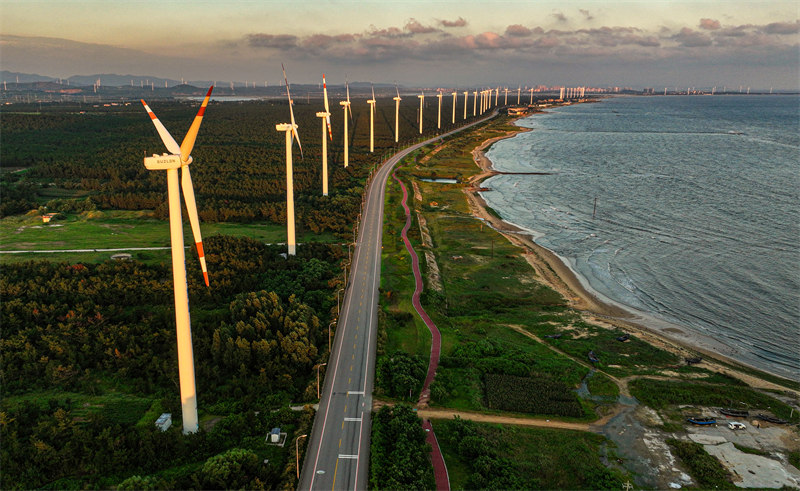 Le développement de l'énergie éolienne c?tière à Rongcheng, dans le Shandong