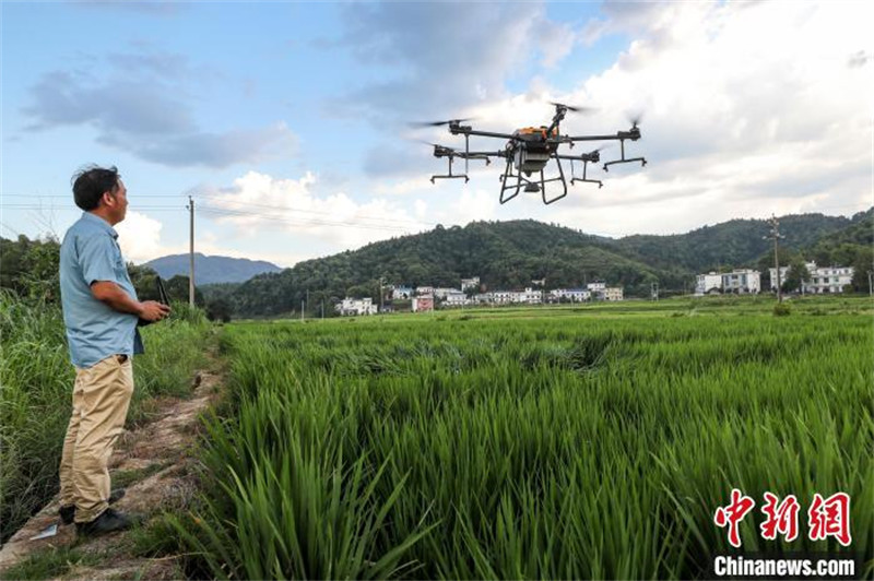 Jiangxi : diverses mesures prises pour lutter contre la sécheresse pour assurer la production agricole à Pingxiang