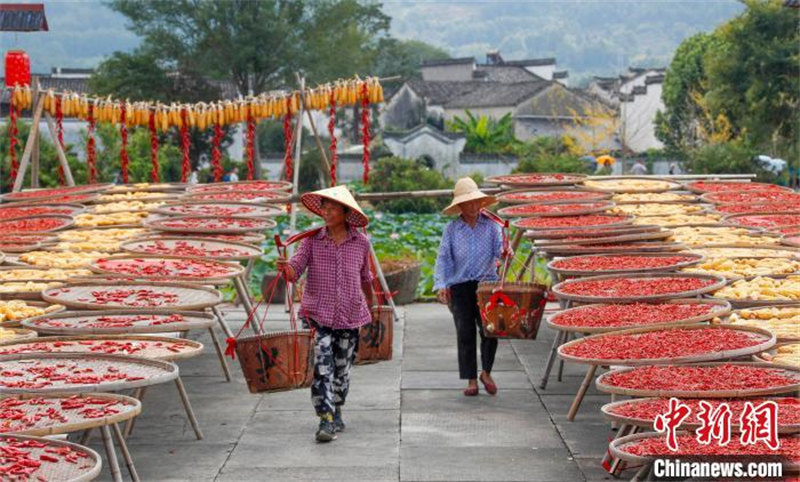 Anhui : une ? image du séchage ? dans un vieux village à Huangshan