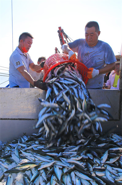 Zhejiang : la grande marée d'automne, une bonne période de récolte pour les pêcheurs de Yuhuan