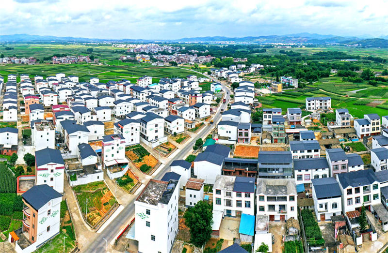 Guangxi : Hengzhou, capitale chinoise et mondiale du jasmin