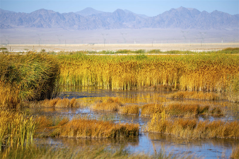 Gansu : la beauté des zones humides colorées