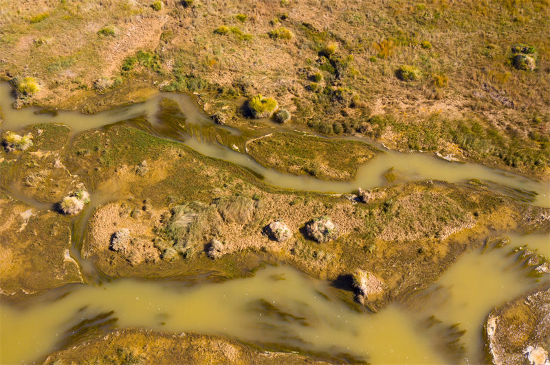 Gansu : la beauté des zones humides colorées