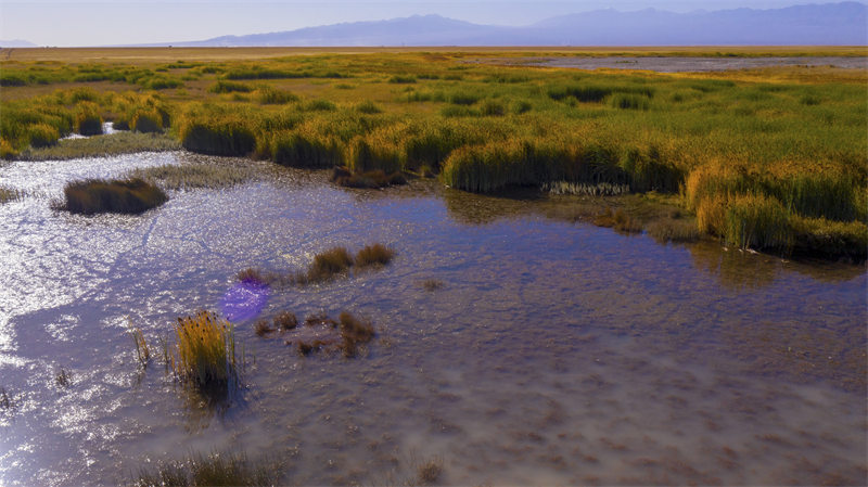 Gansu : la beauté des zones humides colorées