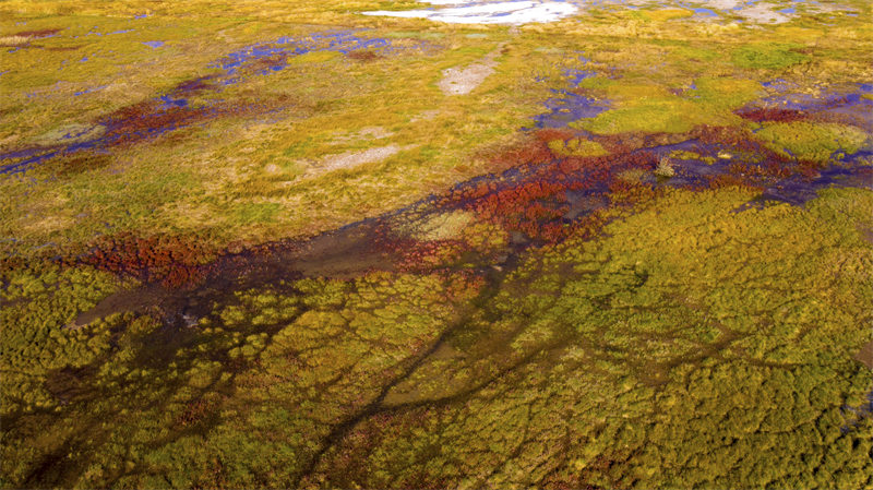 Gansu : la beauté des zones humides colorées