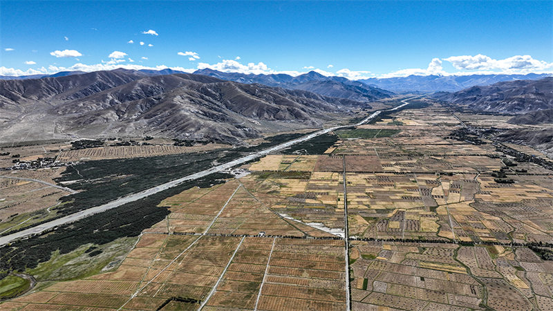 Rikaze, le grenier du Tibet, célèbre la récolte d'automne