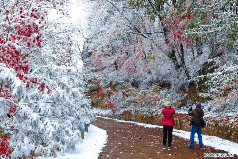 Chine : paysage de neige à Dandong au Liaoning