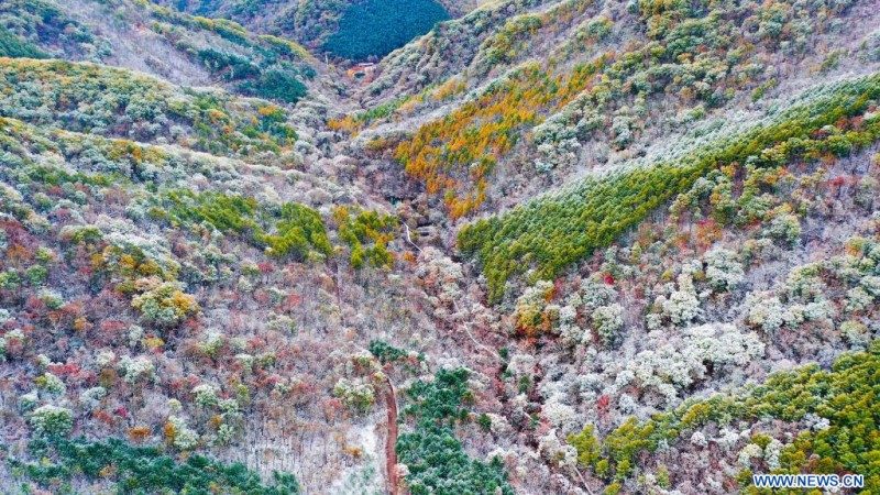 Chine : paysage de neige à Dandong au Liaoning