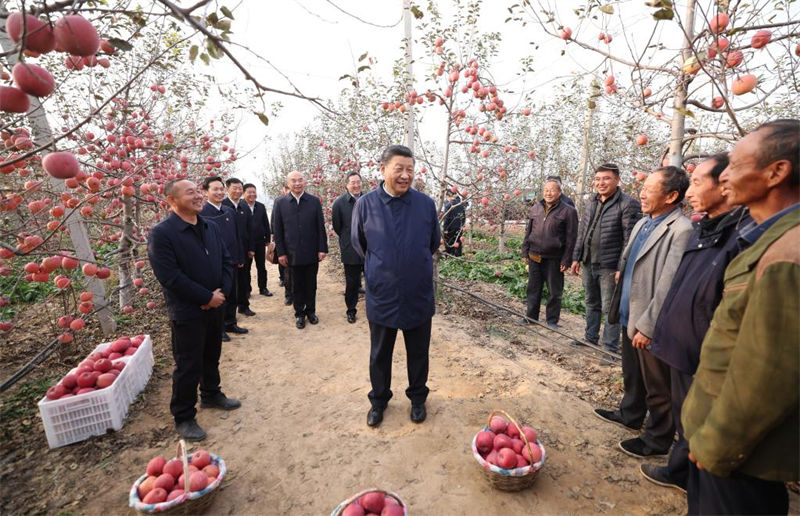 Xi Jinping souligne l'importance de faire progresser la revitalisation rurale durant ses inspections au Shaanxi et au Henan