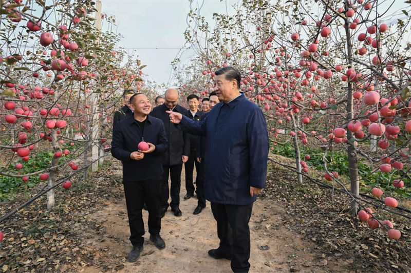 Xi Jinping souligne l'importance de faire progresser la revitalisation rurale durant ses inspections au Shaanxi et au Henan