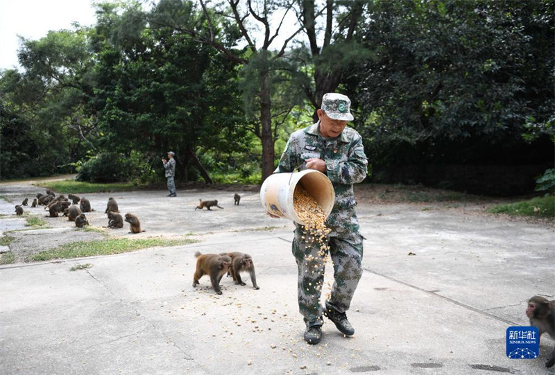 Guangdong : un ? père des singes ? garde une ?le depuis 33 ans