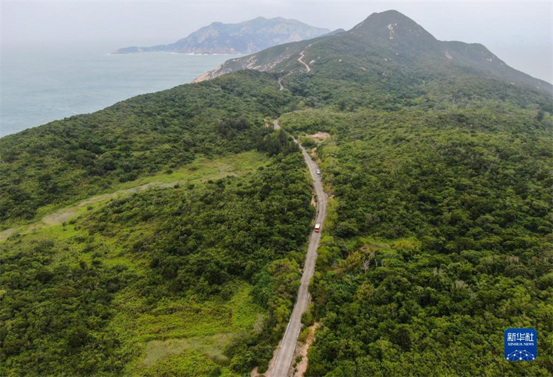 Guangdong : un ? père des singes ? garde une ?le depuis 33 ans