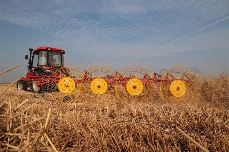 Anhui : l'utilisation de la paille renforce l'efficacité de la protection environnementale à Susong