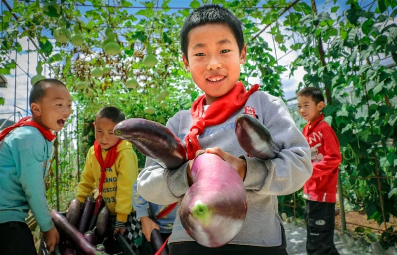 Cette école primaire rurale de Yunnan consomme les matières alimentaires plantées par elle-même