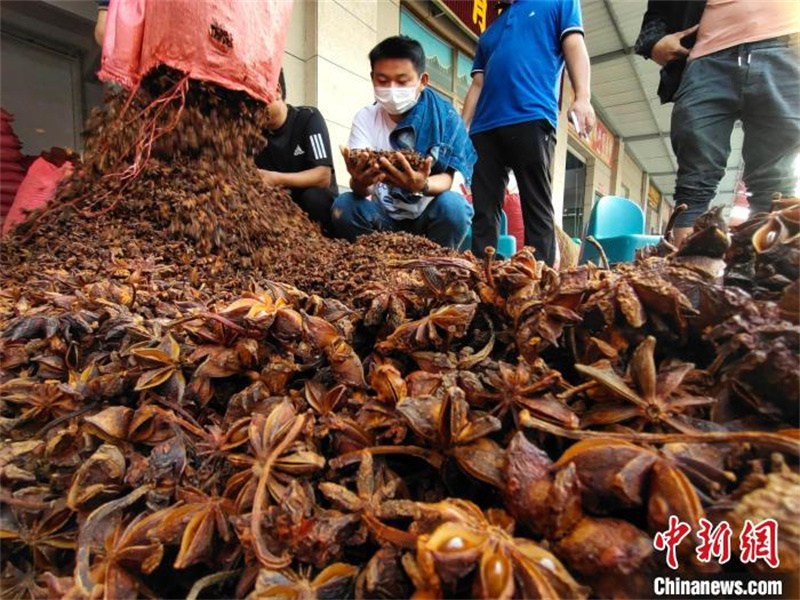 Guangxi : 80% des épices de Chine sont distribuées à partir de Yulin, la ? capitale des parfums du Sud ?