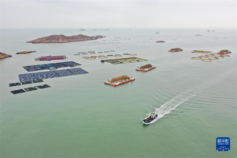 Fujian : les plateformes d'élevage en mer profonde et lointaine contribuent à moderniser et à revitaliser la pêche