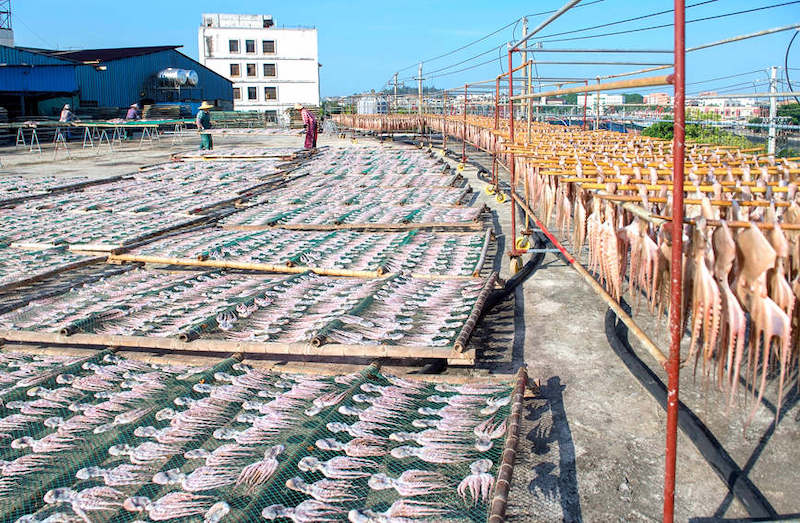 Guangxi : les pêcheurs occupés à sécher les 