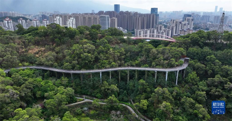 Fujian: un système pour les piétons pour améliorer le sentiment de bien-être des habitants à Fuzhou