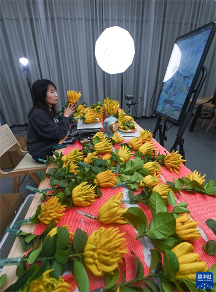 Zhejiang : le fruit de la main de Bouddha ouvre la voie à la revitalisation rurale