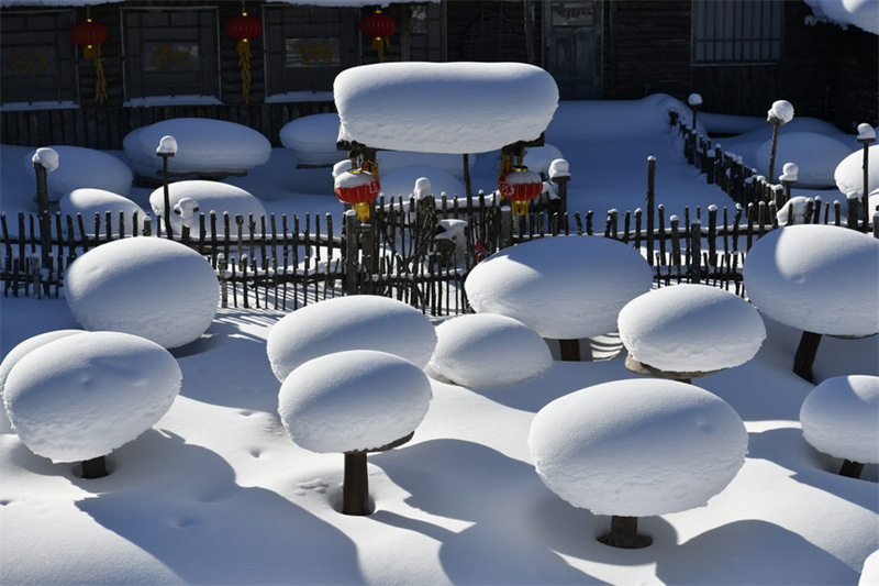 La ? neige ? pour accueillir les clients du monde entier, Ouverture officielle du site des neiges de Chine