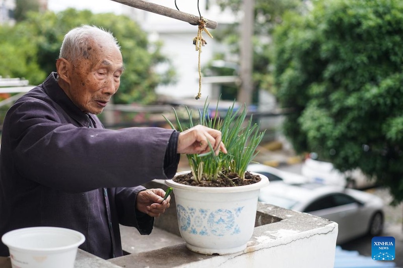 En images : les survivants du massacre de Nanjing