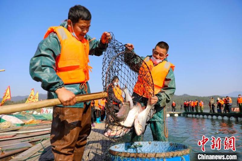 Jiangxi : le village de pêcheurs de Wan'an occupé de la pêche d'hiver et du ? séchage hivernal ? pendant le Solstice d'hiver