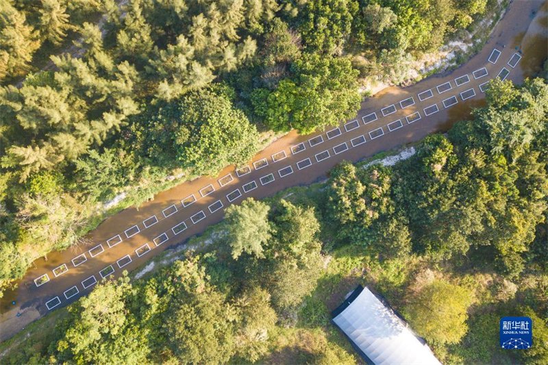 Hainan : construire des ? ?les flottantes écologiques ? pour améliorer la qualité de l'eau de la rivière à Wenchang