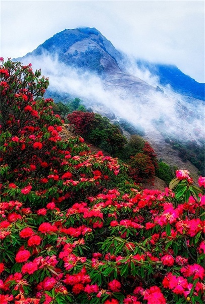 24 images pittoresques : rencontre avec les quatre saisons du Yunnan coloré