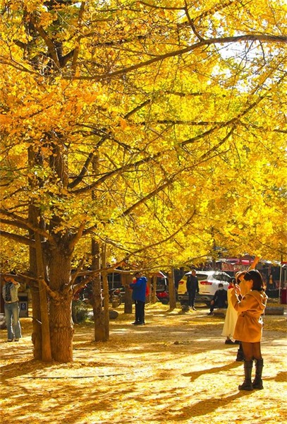 24 images pittoresques : rencontre avec les quatre saisons du Yunnan coloré