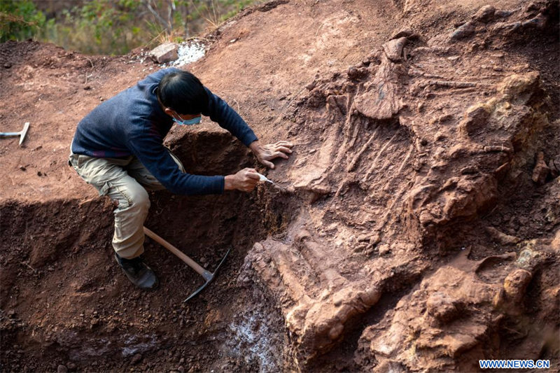 Chine : des fossiles de dinosaures découverts dans le Yunnan