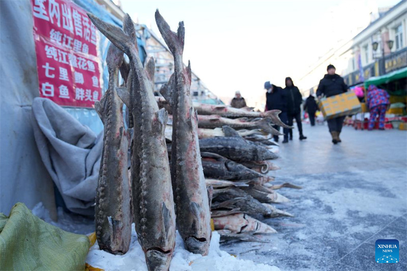 Heilongjiang : le marché de poissons de Dongji entre dans la saison de pointe à l'approche de la Fête du Printemps