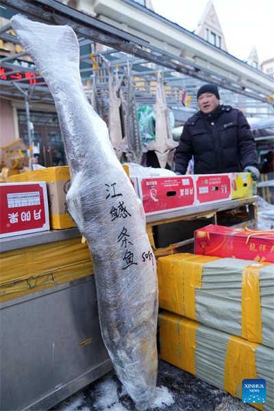 Heilongjiang : le marché de poissons de Dongji entre dans la saison de pointe à l'approche de la Fête du Printemps