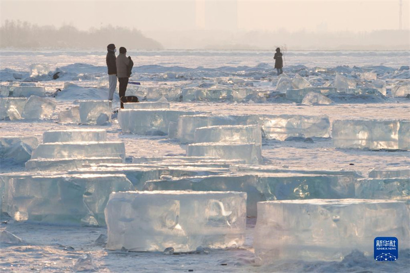 Des touristes jouent dans la ? mer de diamant ? sur les rives de la rivière Songhua à Harbin, capitale de la province du Heilongjiang (nord-est de la Chine), le 1er février. (Xie Jianfei / Xinhua)