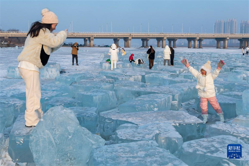 Heilongjiang : la ? mer de diamant ? attire les visiteurs à Harbin