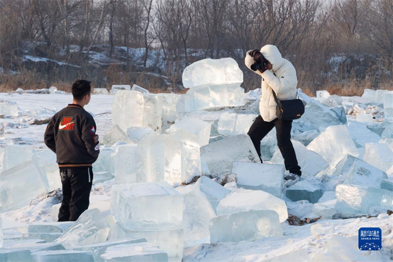 Heilongjiang : la ? mer de diamant ? attire les visiteurs à Harbin