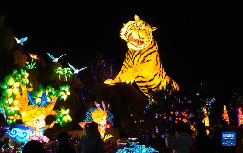 Shandong : des lanternes brillantes pour célébrer la Fête des Lanternes à Zibo