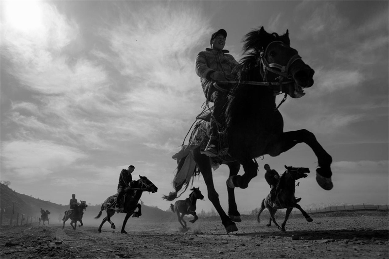 L'amour du plateau du photographe écologique Jiao Shengfu