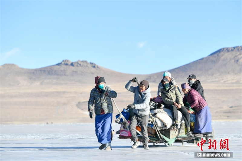 Tibet: les bergers mènent leurs troupeaux vers l'?le de Huxin pour passer la période la plus froide de l'hiver