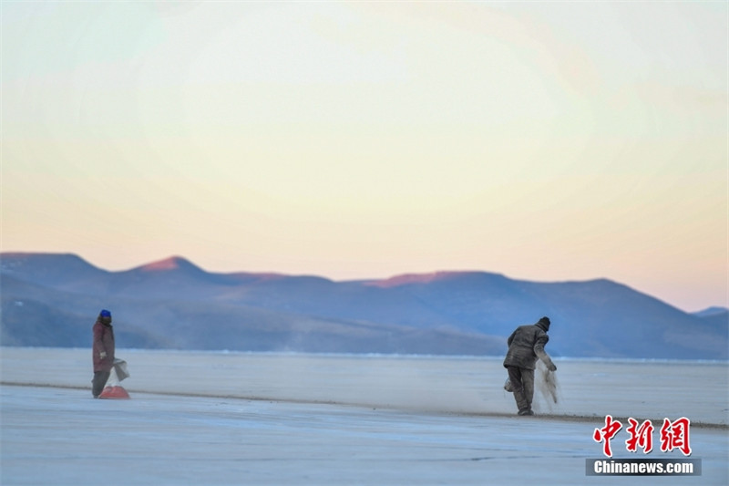 Tibet: les bergers mènent leurs troupeaux vers l'?le de Huxin pour passer la période la plus froide de l'hiver