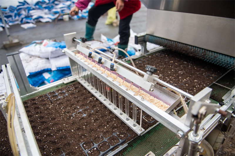 Hunan : à la découverte des ? technologies magiques ? dans les terres cultivées