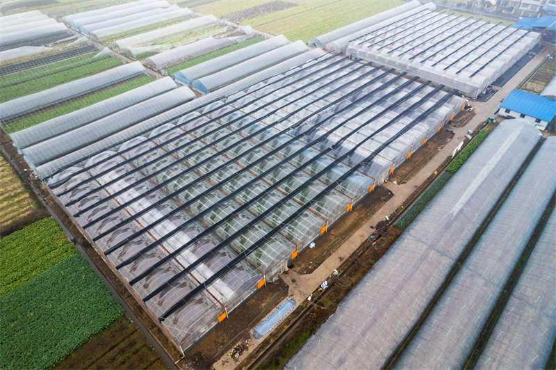 Hunan : à la découverte des ? technologies magiques ? dans les terres cultivées