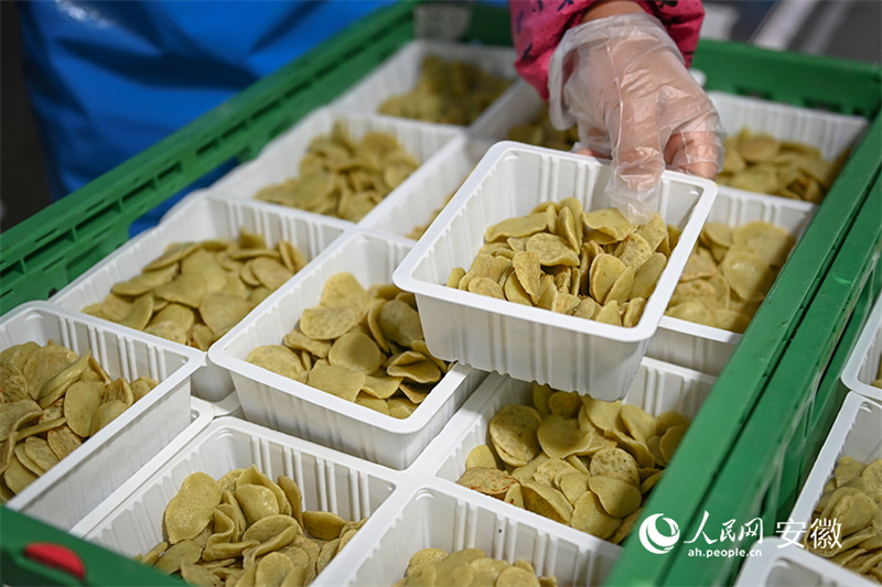 Anhui : le ? village du tofu ? de Huainan, de petits ateliers familiaux transformés en une zone de démonstration standardisée