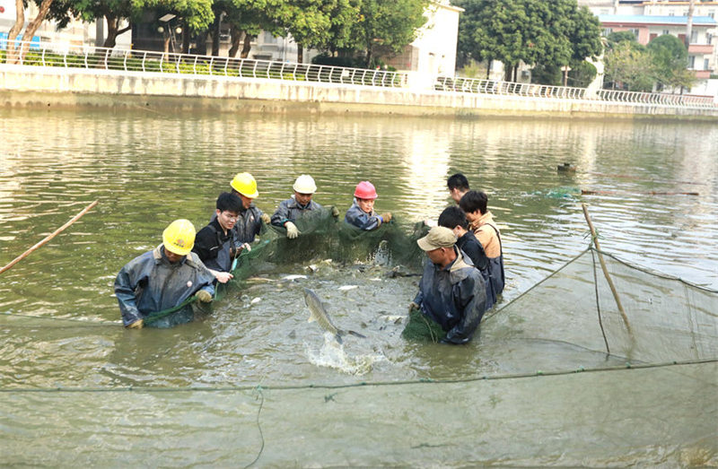 Guangxi : une université attrape 3 750 kg de poissons pour inviter les enseignants et les étudiants