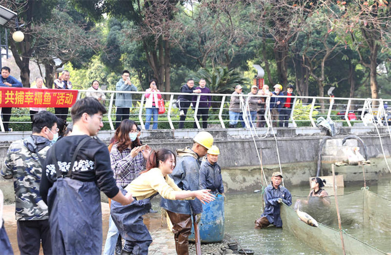 Guangxi : une université attrape 3 750 kg de poissons pour inviter les enseignants et les étudiants