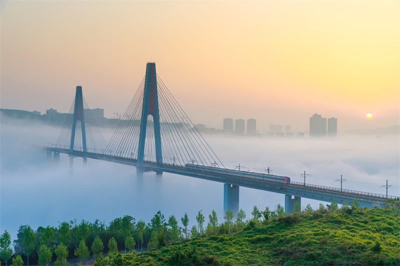 Plus de 500 km ! Chongqing achève le plus grand réseau de transport ferroviaire urbain montagneux du monde