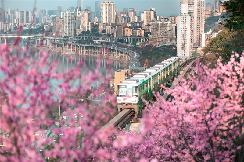 Plus de 500 km ! Chongqing achève le plus grand réseau de transport ferroviaire urbain montagneux du monde