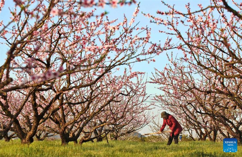 L'équinoxe de printemps est là, les villageois de toute la Chine s'affairent aux travaux agricoles