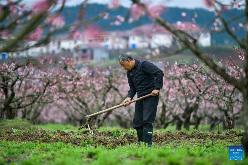 L'équinoxe de printemps est là, les villageois de toute la Chine s'affairent aux travaux agricoles