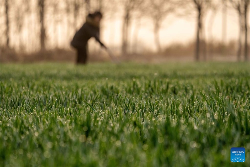 L'équinoxe de printemps est là, les villageois de toute la Chine s'affairent aux travaux agricoles